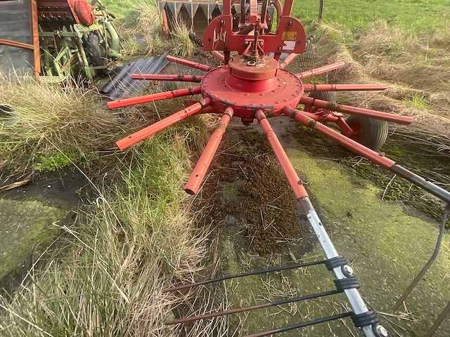 Lely hibiscus 461 volgde rake - afbeelding 9 van  12