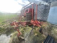 Lely hibiscus 461 volgde rake - afbeelding 1 van  12