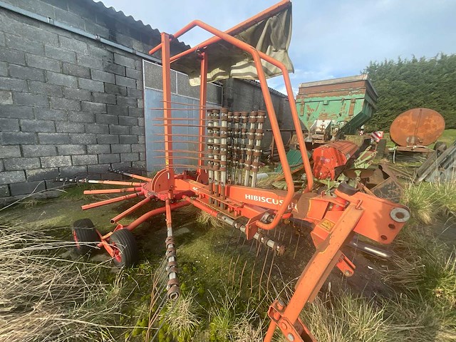 Lely hibiscus 461 volgde rake - afbeelding 6 van  12