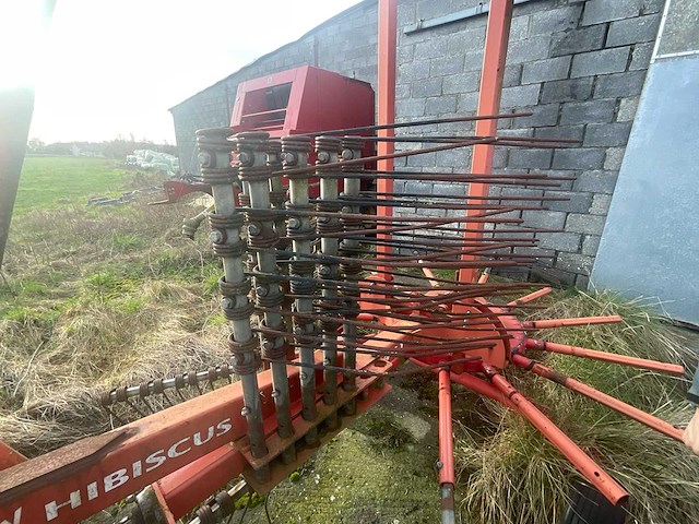 Lely hibiscus 461 volgde rake - afbeelding 12 van  12