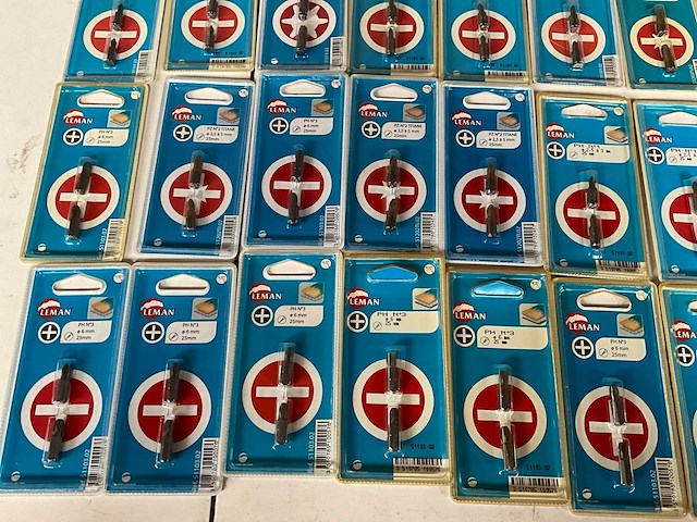 Leman diverse schroefbits in blister verpakking (48x) - afbeelding 2 van  5