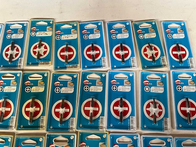 Leman diverse schroefbits in blister verpakking (48x) - afbeelding 3 van  5