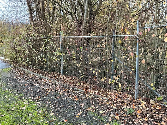 Lenaerts blommaert herashek (9x) - afbeelding 2 van  3