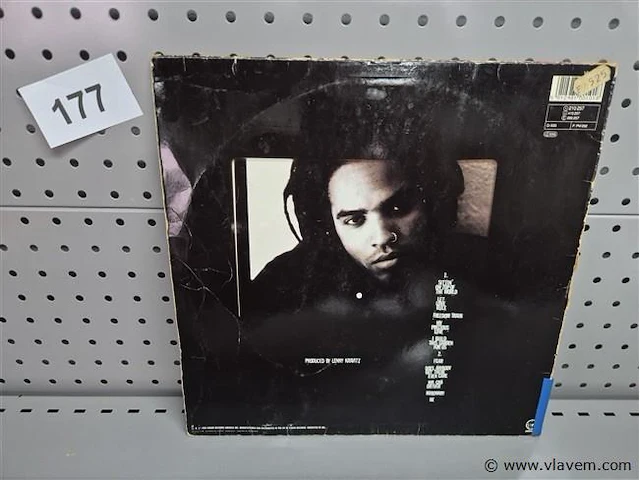 Lenny kravitz - afbeelding 2 van  2