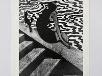 Leon spilliaert - gelimiteerde editie