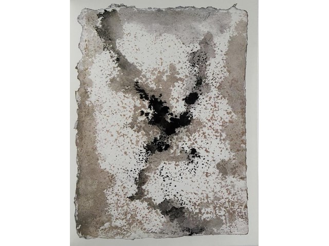 Leon zack - gravure 1978 - afbeelding 1 van  1