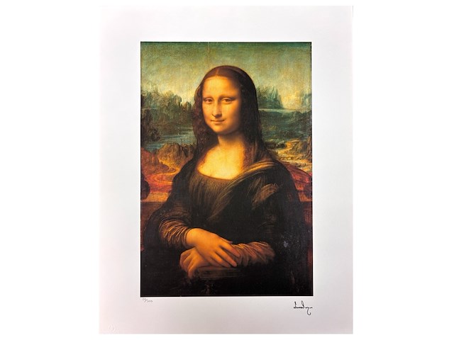 Leonardo da vinci - afbeelding 1 van  3