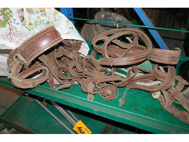 Leren halster voor paarden - afbeelding 1 van  3