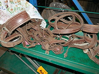 Leren halster voor paarden - afbeelding 1 van  3