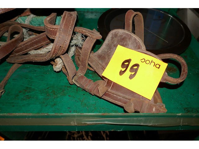 Leren halster voor paarden - afbeelding 2 van  3