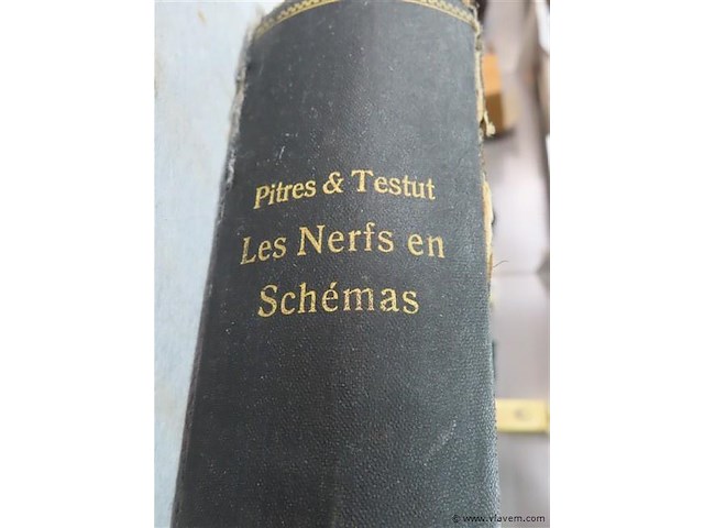 Les nerfs en schémas - afbeelding 2 van  4