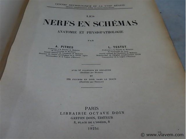 Les nerfs en schémas - afbeelding 3 van  4