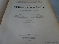 Les nerfs en schémas - afbeelding 3 van  4