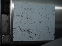 Leventi - afbeelding 8 van  8