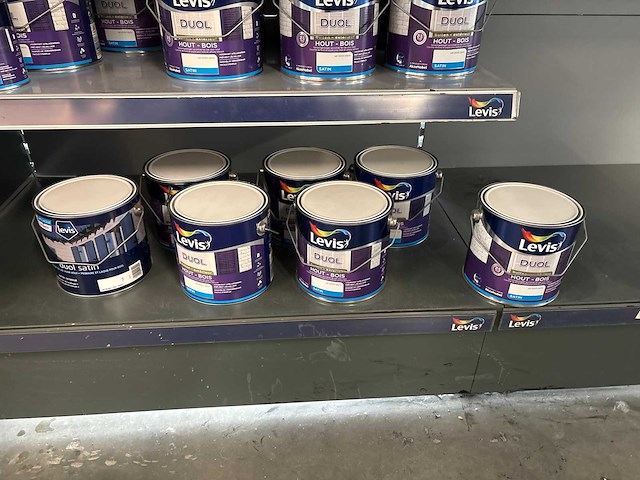 Levis diverse verf en houtlakken (110x) - afbeelding 14 van  20