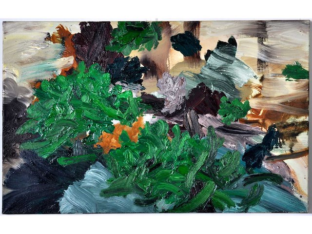 Lex van lith - abstracte tuincompositie - olie op doek - 50x80 cm - afbeelding 5 van  12