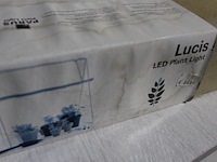 Lichtbak met standaard voor planten - afbeelding 1 van  2