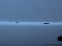 Lichte vrachtwagen peugeot, partner, datum eerste insch 14/11/2006, 1997cm³, 66kw, euro3, 198558km, inschrijvingsbewijs deel i, identificatieverslag, gelijkvormigheidsattest - afbeelding 4 van  18