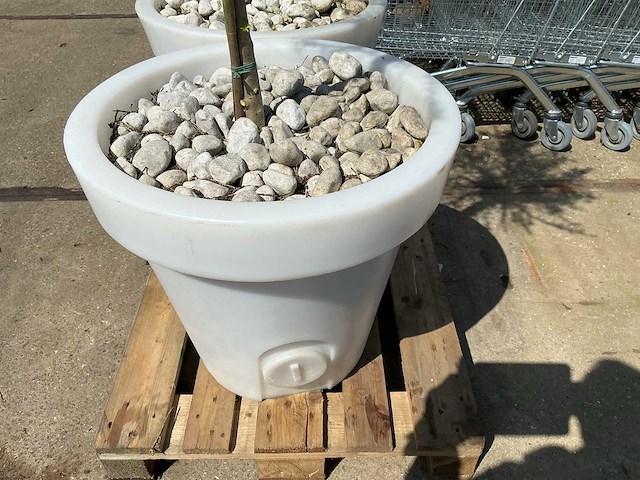 Lichtgevende bloempot met boom (2x) - afbeelding 2 van  2