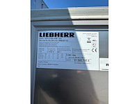 Liebherr - ggpv 6570 index 40b /001 - overige koelen en vriezen - afbeelding 6 van  6