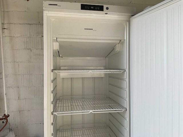 Liebherr 5810 diepvries - afbeelding 3 van  6