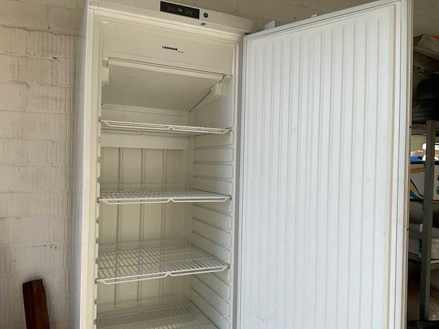 Liebherr 5810 diepvries - afbeelding 6 van  6