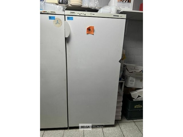 Liebherr comfort diepvries - afbeelding 1 van  8