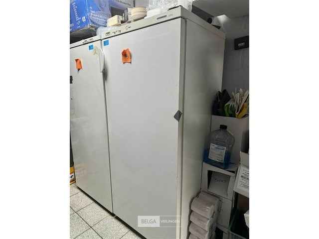 Liebherr comfort diepvries - afbeelding 4 van  8