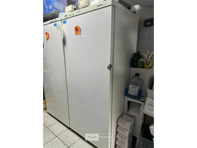 Liebherr comfort diepvries - afbeelding 5 van  8