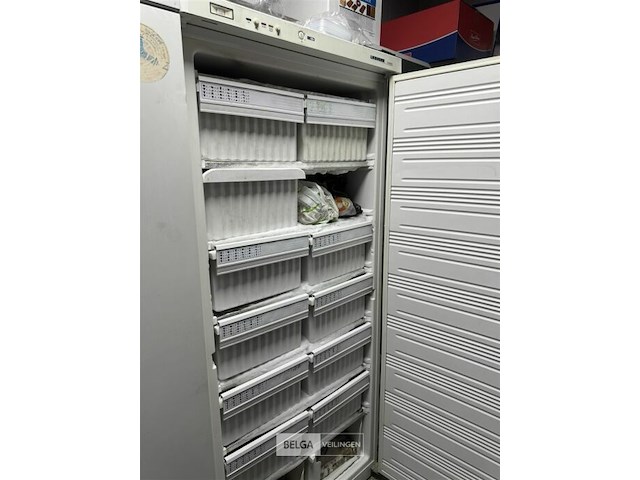 Liebherr comfort diepvries - afbeelding 7 van  8