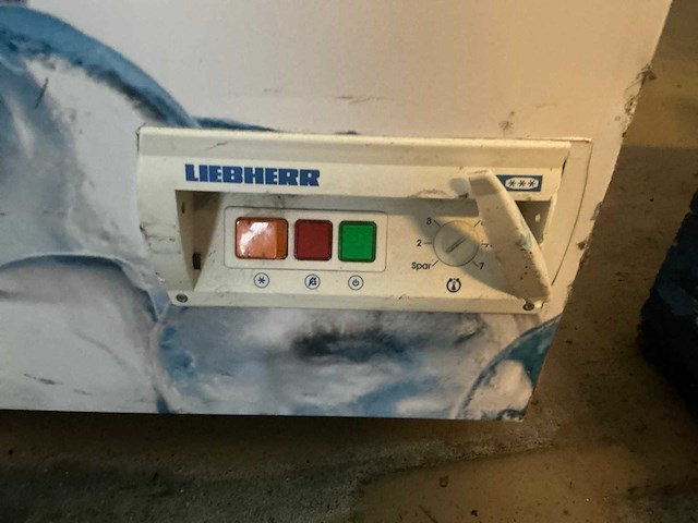 Liebherr gt 5802-02 vriezer - afbeelding 4 van  5