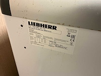 Liebherr gte 3300 vrieskist - afbeelding 4 van  4