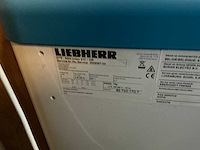 Liebherr gte 5002 index 21c/328 vrieskoffer - afbeelding 4 van  4
