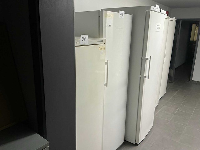 Liebherr kp 4220 koelkast - afbeelding 1 van  7