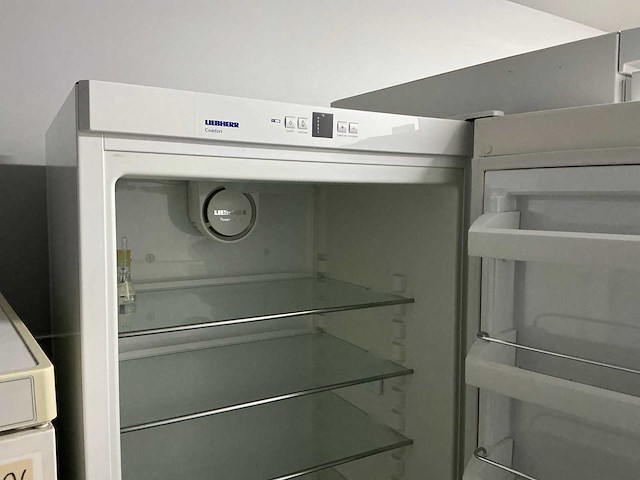 Liebherr kp 4220 koelkast - afbeelding 4 van  7