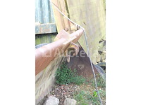 Liebherr l 541 wiellader - afbeelding 18 van  46