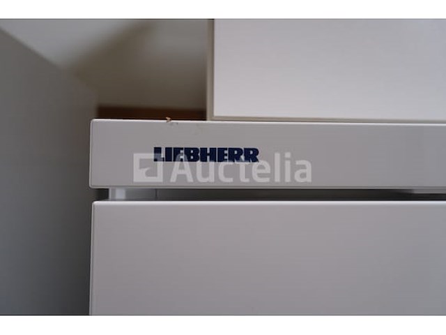 Liebherr sn-t 2 6235 4 geventileerde koelkast - afbeelding 2 van  11