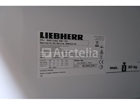Liebherr sn-t 2 6235 4 geventileerde koelkast - afbeelding 6 van  11