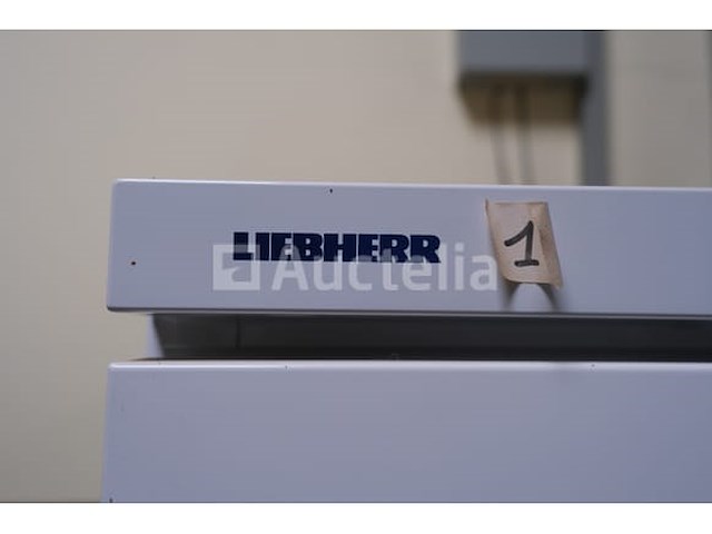 Liebherr sn-t 2 6235 4 koelkast - afbeelding 11 van  12