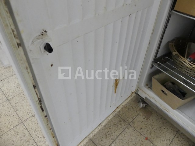 Liebherr tgs 4000 vriezer - afbeelding 1 van  7