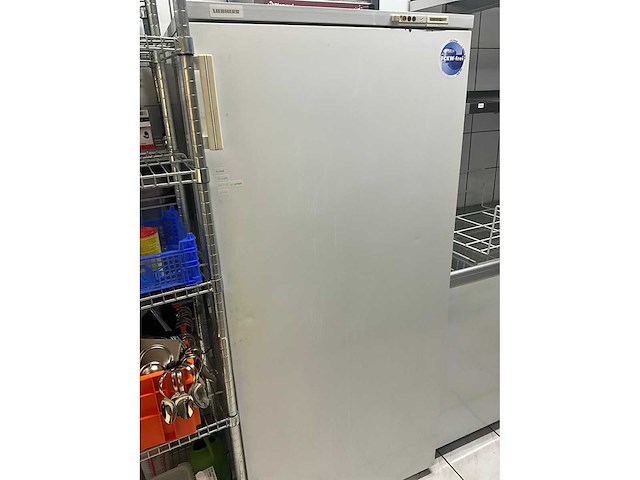 Liebherr vriezer - afbeelding 1 van  2