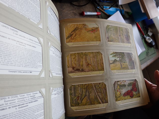 Liebig 3 albums - afbeelding 1 van  3