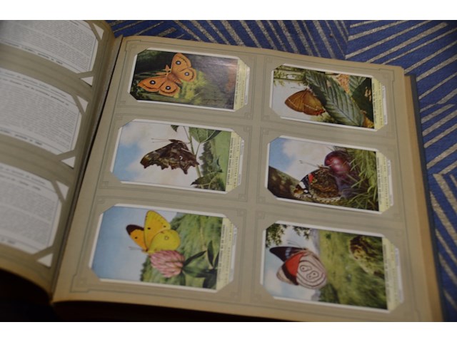 Liebig chromos boek met losse plaatjes - afbeelding 3 van  4