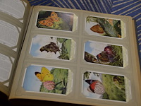 Liebig chromos boek met losse plaatjes - afbeelding 3 van  4