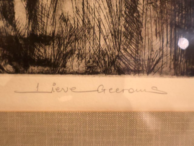 Lieve geeroms (x2) - afbeelding 3 van  13