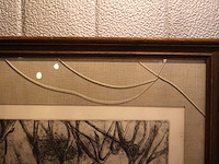 Lieve geeroms (x2) - afbeelding 4 van  13