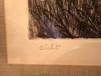 Lieve geeroms (x2) - afbeelding 13 van  13