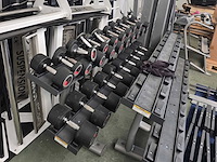 Life fitness dumbbells halterset - afbeelding 1 van  1