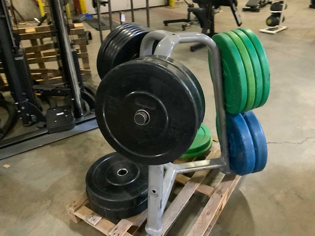 Life maxx bumperplates 50mm 6x5;16x10;6x20kg krachtstation - afbeelding 4 van  6