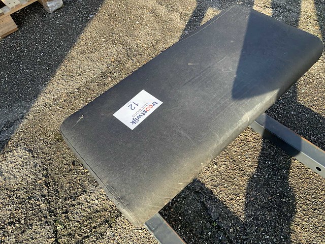 Life maxx crossmaxx hiptruster bench krachtstation - afbeelding 3 van  4